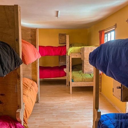 Willhouse Hostel Pucón المظهر الخارجي الصورة